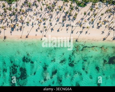 Von oben aus der Drohne blickt man auf einen tropischen Strand mit Palmen, klarem türkisfarbenem Meer und Sandstrand. Reise, Urlaub, Resort und Sommer Backgro Stockfoto