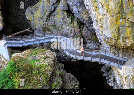 Pfad in der Velika doline, Skocjanske jame, Slowenien Stockfoto