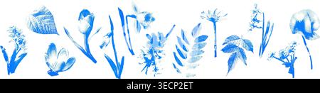 Rasterblumen Blätter setzen blaue Cyanotype Vektor-Illustration Stock Vektor