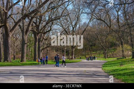 Besucher schlendern unter alten Bäumen entlang der Valley Road im Arnold-Arboretum der Harvard-Universität in Boston, Massachusetts, USA, im Frühling. Stockfoto