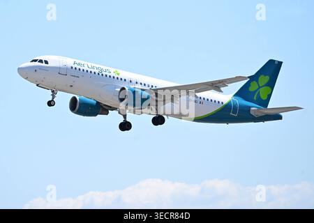 Fiumicino, Italien, Flugzeuge zum Flughafen Fiumicino Airbus A320 sind Lingus EI-DEI .Flugzeuge zum Flughafen Fiumicino. Fiumicino Italien, 1. Mai 2026. Imago-images/Emmefoto Copyright: XImago-images/Emmefotox Stockfoto