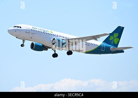 Roma, Latium. Mai 2026. Airbus A320 sind Lingus EI-DEI .Flugzeuge zum Flughafen Fiumicino. Fiumicino (Italien), 1. Mai 2026. (Foto: AllShotLive/SIPA USA) Credit: SIPA USA/Alamy Live News Stockfoto
