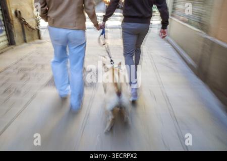 Dynamic Motion Blur of a Pärchen Walking your Dog on a City Bürgersteig, Urban Lifestyle Concept Stockfoto