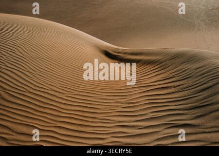 Nahaufnahme von windgeformten Wüstensanddünen mit glatten Kurven und feiner gewellter Textur, warmen Goldtönen, natürlichem abstrakten Hintergrund mit Kopien s Stockfoto