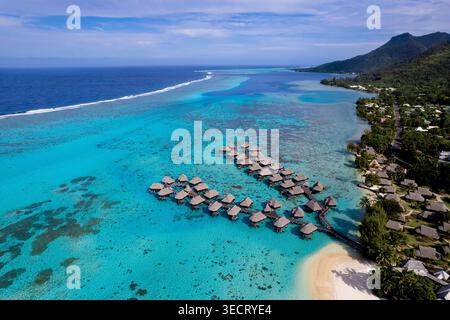 Blick aus der Vogelperfec auf eine tropische Lagune mit Überwasser-Bungalows, Korallenriff und türkisfarbenem Wasser neben einer üppigen Bergküste in Französisch-Polynesien Stockfoto