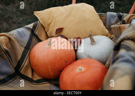 Nahaufnahme von Kürbissen auf einer karierten Decke mit weichem Kissen und Herbstblättern, die ein gemütliches, saisonales Stillleben im Freien schaffen. Stockfoto