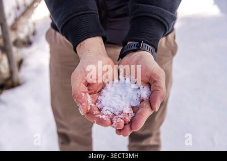 Nahaufnahme einer Person, die im Freien eine Handvoll Neuschnee in umschlossenen Händen hält. Winterszene mit weichem Hintergrund, Kleidung für kaltes Wetter und natura Stockfoto