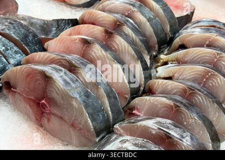 In Reihen angeordnete Fischsteaks, die den Einzelhandel mit Meeresfrüchten und frische Markteinschnitte darstellen Stockfoto