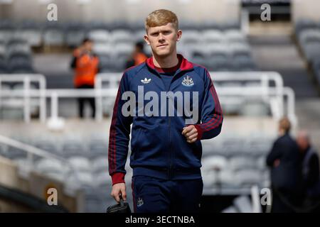 Newcastle upon Tyne, Großbritannien. Mai 2026. Lewis Hall of Newcastle United kommt am 2. Mai 2026 zum heutigen Spiel während des Spiels Newcastle United gegen Brighton & Hove Albion Premier League im St. James' Park, Newcastle upon Tyne, England. Credit: Craig Cowan/Every Second Media Credit: Every Second Media/Alamy Live News Stockfoto