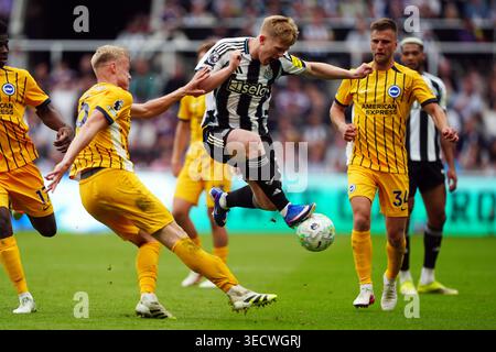 Jan Paul van Hecke von Brighton und Hove Albion bekämpft die Lewis Hall von Newcastle United während des Premier League-Spiels im St. James' Park in Newcastle upon Tyne. Bilddatum: Samstag, 2. Mai 2026. Stockfoto