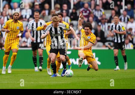 Lewis Hall von Newcastle United und Ferdi Kadioglu von Brighton und Hove Albion (rechts) kämpfen um den Ball während des Premier League-Spiels im St James' Park in Newcastle upon Tyne. Bilddatum: Samstag, 2. Mai 2026. Stockfoto