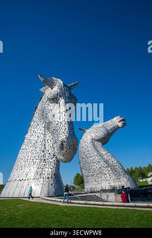 Die Kelpies in Falkirk, Schottland, unter sonnigem blauem Himmel. Die legendären Pferdekopfskulpturen sind ein bedeutendes Wahrzeichen Schottlands des Künstlers Andy Scott Stockfoto