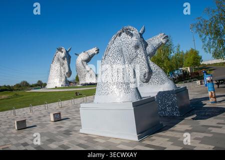 Die Kelpies in Falkirk, Schottland, unter sonnigem blauem Himmel. Die legendären Pferdekopfskulpturen sind ein bedeutendes Wahrzeichen Schottlands des Künstlers Andy Scott Stockfoto