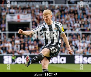 St James Park, Newcastle, Großbritannien. Mai 2026. Premier League Football, Newcastle United gegen Brighton und Hove Albion; Lewis Hall of Newcastle United liefert einen Cross Credit: Action Plus Sports/Alamy Live News Stockfoto