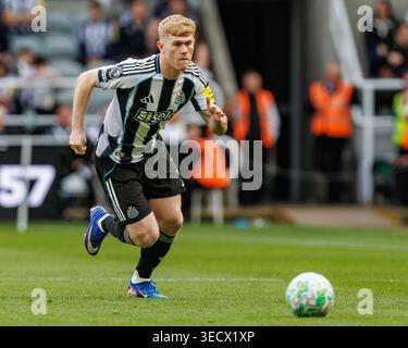St James Park, Newcastle, Großbritannien. Mai 2026. Premier League Football, Newcastle United gegen Brighton und Hove Albion; Lewis Hall of Newcastle United im Kampf gegen Brighton Credit: Action Plus Sports/Alamy Live News Stockfoto