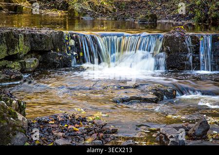 Ein romantischer Wasserfall stürzt durch einen klaren Gebirgsbach in der Nähe von Bishop Auckland, England, umgeben von moosigen Felsen in der Herbstsonne. Stockfoto