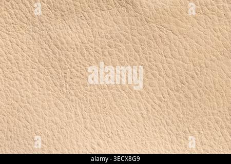 Glatter Beige Naturleder Textur Hintergrund, Premium Original Material Oberfläche Nahaufnahme Stockfoto