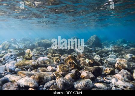 Unterwasser mit Steinen Meeresboden, Sonnenstrahlen im blauen Wasser. Stockfoto