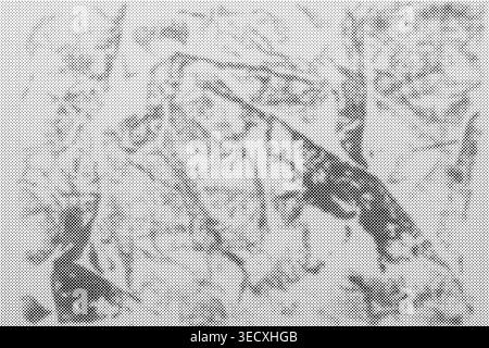 Körnige schwarz-weiße Textur mit verstörtem Halbtonmuster Stockfoto