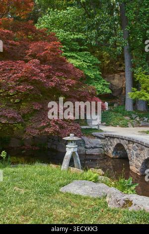 Japanischer Garten mit Bogenbrücke im Maymont Park in Richmond, Virginia, mit ruhigem Wasser, üppigem Grün und einer ruhigen Landschaft. Stockfoto