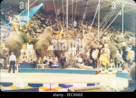 Ringling Brothers Barnum & Bailey Circus, Knoxville, TN, 1986 Stockfoto