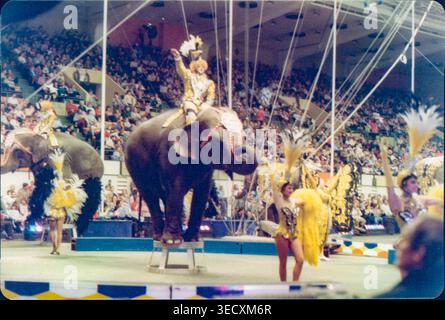 Ringling Brothers Barnum & Bailey Circus, Knoxville, TN, 1986 Stockfoto