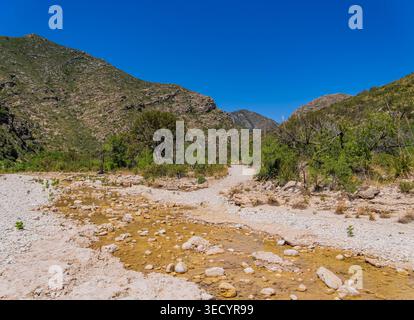 Seichtes Wasser fließt über helle Felsen in einem breiten Canyon, umgeben von zerklüfteten grünen Bergen unter einem klaren blauen Himmel. Stockfoto