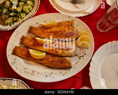 Platte Für Gegrillte Fischfilets Mit Zitronenscheiben Stockfoto