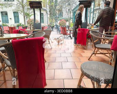 Gemütliches Café Im Freien, Terrasse, Kleiner Hund Stockfoto