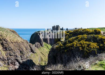 Stonehaven, Schottland, Großbritannien – 12. April 2025: Dunnottar Castle thront auf dramatischen Klippen über der Nordsee, umgeben von rauer Landschaft und Stockfoto
