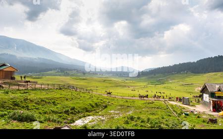 Ein atemberaubender Blick auf die weiten, sanften grünen Wiesen von Gulmarg in Kaschmir, Indien, mit Holzhütten, Weidepferden und majestätischen Bergen und Stockfoto