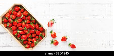 Köstliche frische Erdbeeren in der Box auf weißem hölzernem Hintergrund. Flacher Lay, Kopierraum. Hässliche Bio-Erdbeeren Stockfoto