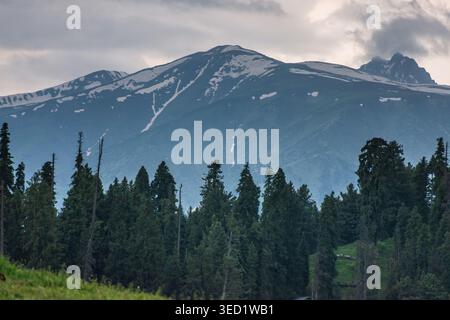 Ein atemberaubender Blick auf eine gewaltige Bergkette mit Schneeflächen, vor einem bewölkten Himmel, mit Blick auf einen üppig grünen Nadelwald im for Stockfoto