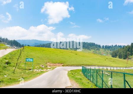 Eine malerische Landschaft mit einer gewundenen Asphaltstraße, die durch lebhafte grüne Wiesen führt, umgeben von dichten Kiefernwäldern unter einer klaren blauen Ske Stockfoto