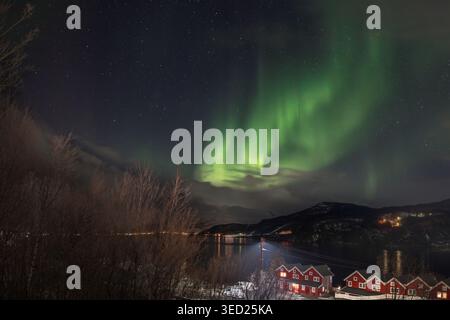Leuchtend grüne Auroras schweben anmutig über den Nachthimmel über Narvik, Norwegen, und werfen einen magischen Glanz auf die ruhige Landschaft und die malerischen Häuser belo Stockfoto