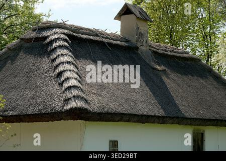 Ein charmantes Strohdachhaus steht unter der hellen Sonne, umgeben von üppigen Bäumen. Stockfoto