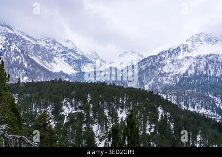 Bewaldete, schneebedeckte Gipfel, einige über 3100 m, vom Turm Belvedere, Maloja am Ende des Silsersees (Lej da Segl), Oberengadin, Schweiz Stockfoto