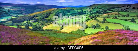 Ein Panoramablick auf die hügelige Landschaft von Clwyd, Nordwales, Großbritannien. Stockfoto
