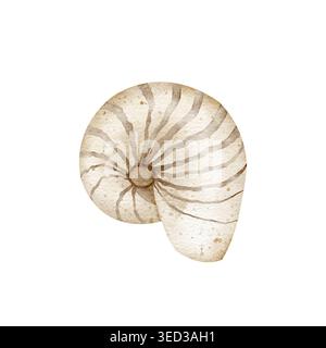 Unterwasser-Muscheln, Seesterne, Perle. Aquarellillustration, handgezeichnet nautische Stil, isoliert für Karten, Poster, Verpackungen, Etiketten Stockfoto