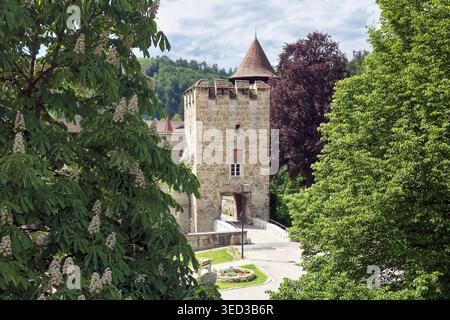 Schweiz, Baselland, Baselbiet, Laufental, Zwingen, Zwingen BL, Wasserschloss, Frühling Stockfoto