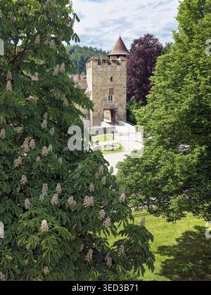 Schweiz, Baselland, Baselbiet, Laufental, Zwingen, Zwingen BL, Wasserschloss, Frühling Stockfoto