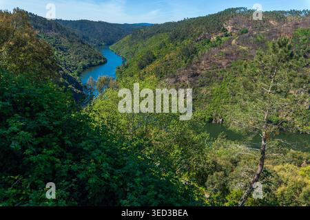 Ein sich windender blauer Fluss fließt durch ein üppiges grünes Tal, umgeben von bewaldeten Hügeln und Flecken verbrannter Vegetation unter einem klaren Himmel in einer malerischen Höhe Stockfoto