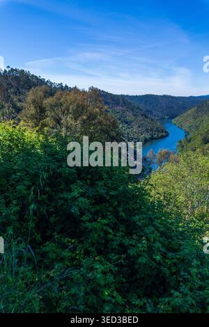 Ein sich windender blauer Fluss fließt durch ein üppiges grünes Tal, umgeben von bewaldeten Hügeln und Flecken verbrannter Vegetation unter einem klaren Himmel in einer malerischen Höhe Stockfoto