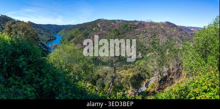 Ein sich windender blauer Fluss fließt durch ein üppiges grünes Tal, umgeben von bewaldeten Hügeln und Flecken verbrannter Vegetation unter einem klaren Himmel in einer malerischen Höhe Stockfoto