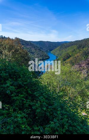 Ein sich windender blauer Fluss fließt durch ein üppiges grünes Tal, umgeben von bewaldeten Hügeln und Flecken verbrannter Vegetation unter einem klaren Himmel in einer malerischen Höhe Stockfoto