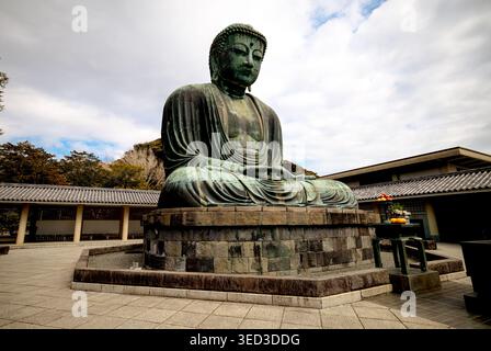 Der große Buddha von Kamakura befindet sich im Kotoku-in-Tempel in Hase, Japan, einer der berühmtesten bronzenen buddhistischen Statuen des Landes. Stockfoto