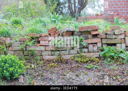 Alte, wetterfeste Ziegelsteine bilden eine Stützmauer, zwischen denen grüne Vegetation wächst Stockfoto