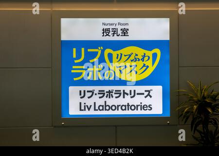 Innerhalb des Terminals mit Passagieren und einem großen Abflugbrett im Check-in-Bereich des internationalen Flughafens Haneda, Tokio, Japan Stockfoto