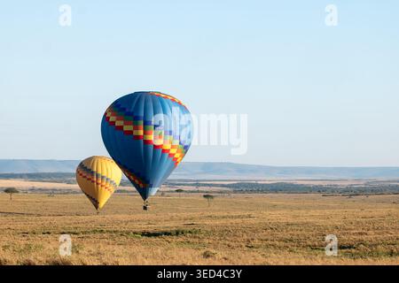 Farbenfrohe Heißluftballons, die während einer morgendlichen Safari im Maasai Mara, Kenia, Ostafrika, über den Savannenebenen schweben Stockfoto