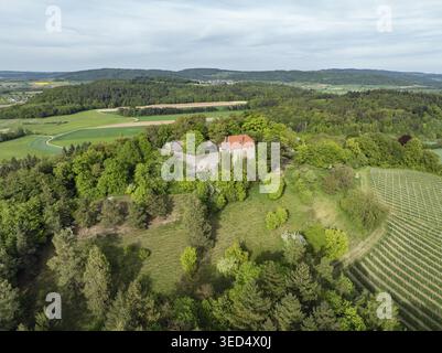 Luftaufnahme von Schloss Friedingen, Friedinger Schloessle oder Hohenfriedingen in Hegau, Bezirk Konstanz, Baden-Württemberg Stockfoto